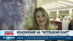 "Оскарите" за котки събраха стотици участници в Букурещ