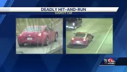 Car sought in deadly hit and run