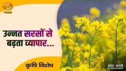 Krishi Vishesh | कृषि विशेष: उन्नत सरसों से बढ़ता व्यापार | DD Kisan | 15/01/2026