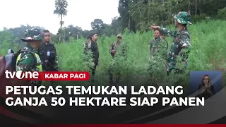 Joint Task Force of Iskandar Muda Military Command Destroys 50-Hectare Marijuana Field in Nagan R...