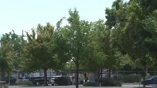 Why watering Salt Lake City trees, even during drought, is essential for saving the shade