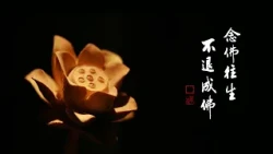 淨空老法師｜大經專修（二）｜一句佛號，是大乘裡頭的大總持法門-第0204集