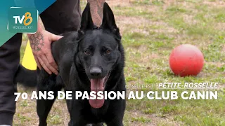 70 Years of Passion at the Petite-Rosselle Dog Club