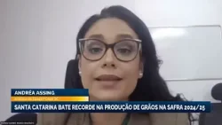 Santa Catarina bate recorde na produção de grãos na safra 2024/25 Santa Catarina bate recorde na produção de grãos na safra 2024/25