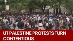 University of Texas Palestine protest: Clashes between students, law enforcement | FOX 7 Austin