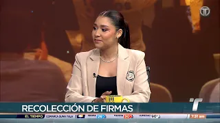 Deputy Yamireliz Chong discusses the process for Vamos to become a political party