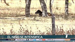 IMPHA confirms that El Niño has reached "very strong" conditions