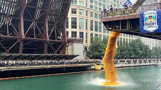 Chicago Nehri'nde 90 bin lastik ördek, bağış için yarıştı