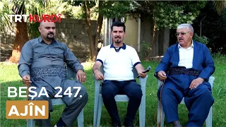 Ajîn - Beşa 247.