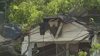 Tree falls on Lamar, cuts power, blocks street