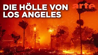 Kalifornien, brennende Palmen | Mit offenen Augen | ARTE