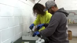 Informativo Fuengirola Televisión 27-03-2026