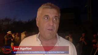 VIDEO//Crescătorii de ovine vasluieni protestează în Capitală