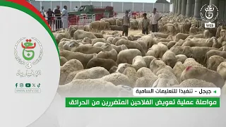 3 Implementing High Instructions: Continuing the Compensation Process for Farmers Affected by Wil...