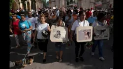 Info Martí | No a la violencia animal en Cuba