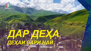 In the Village | Sari Nay Village | Tojikobod District - 2026