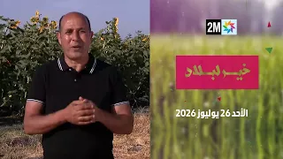 Prosperity of the Land: Sunday, July 26, 2026