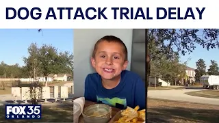 Trial delayed in case tied to deadly DeLand dog attack