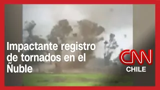 Tornados en el Ñuble por intenso temporal: Vientos alcanzaron los 135 km/h