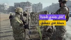 دمشق.. حملة لغرس الأشجار تخليدا لتضحيات الجنود السوريين