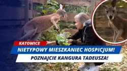 CORDIS HOSPICE HAS NEVER HAD A RESIDENT LIKE THIS!