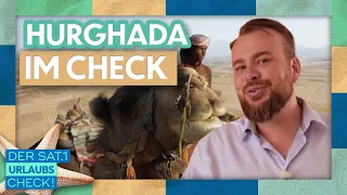 Alf Porada in Hurghada: All-Inclusive in the Big Vacation Review! | Sat.1 Vacation Check