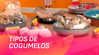 WhatsApp muda: saiba como funciona a nova criação de usuários | Viva a Tarde