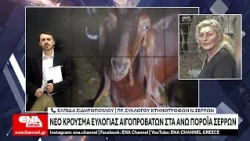 Σέρρες: Νέο κρούσμα ευλογιάς στα Άνω Πορόια – 223 πρόβατα σε δύο μονάδες