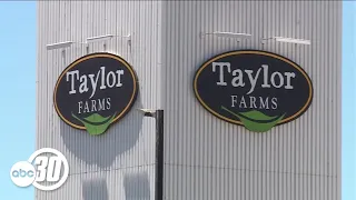 FDA receives false-positive result for parasite in lettuce amid cyclosporiasis outbreak