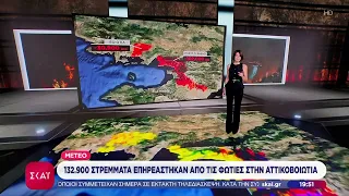 132.900 στρέμματα επηρεάστηκαν από τις φωτιές στην Αττικοβοιωτία | Βραδινό δελτίο | 04/08/2026