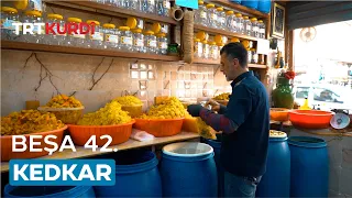 Kedkar - Beşa 42.