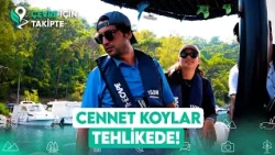Göcek's Underwater Forests are in Danger! | In Pursuit of the Environment Episode 5