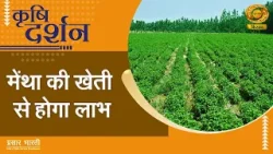 Krishi Darshan | कृषि दर्शन: मेंथा की खेती से होगा लाभ | DD Kisan | 06/04/2026 Krishi Darshan | कृषि दर्शन: मेंथा की खेती से होगा लाभ | DD Kisan | 06/04/2026