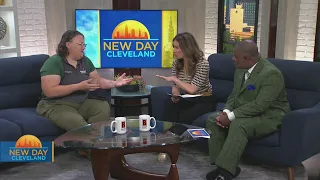 New Day Cleveland: Divergent DVM LLC