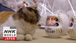 Gunma: Kusatsu Onsen and Daruma Dolls - A Cat's-Eye View of Japan