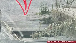 Εφυγε σχαρα απο τον δρομο …