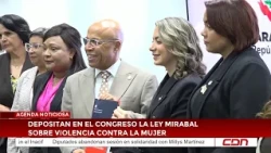 Mirabal Law on violence against women deposited in Congress