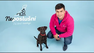 Boro by sa mohol volať „Ťahač Nitriansky" – dokáže ho kouč skrotiť? | Neposlušní 🐕
