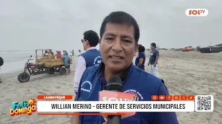 Lambayeque: More than 200 dead birds found on San José beach