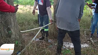 INAPA dismantles illegal water connection at a farm in the Las Caobas sector of SFM