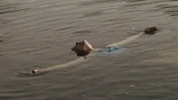 Vilniaus trumpųjų filmų festivalis, Europos kino apdovanojimai ir „Slaptasis agentas“