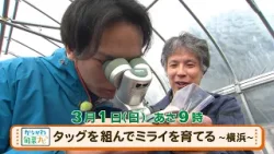 かながわ旬菜ナビ　次回予告（3月1日放送）