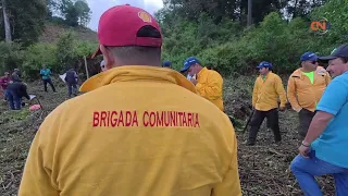 El Balcón ejidatarios restore the Sierra Tecuani Biosphere Reserve with official support