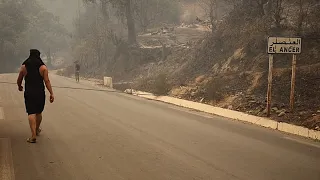 Algeria: Victims of the deadly Jijel forest fires laid to rest