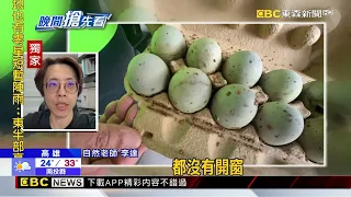 獨家》雨災後遺症！20天後回家沙發長霉 蛋長蟲@newsebc