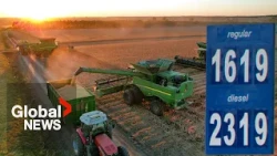 What is red-dyed diesel and what is Trump doing with it?
