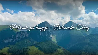 Belianske Tatry: vedci pátrajú po vzácnom hmyze skôr, ako navždy zmizne | Pátranie po hmyze 🦋