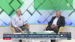 Guerra no Irã deve impactar na formação dos custos agrícolas do Brasil