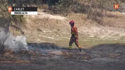 El foc arrasa almenys una hectàrea de vegetació al llit del riu Magre en terme municipal de Carlet