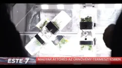 Magyar áttörés az űrnövény-termesztésben